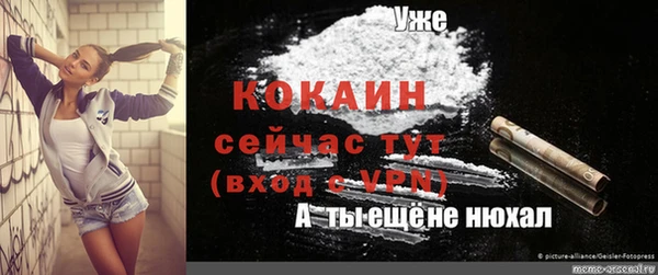 молекула духа Алексеевка